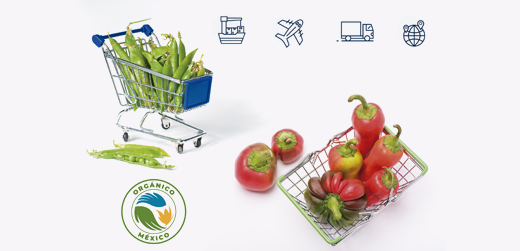 Importación de productos orgánicos a México: Principales requisitos de cumplimiento